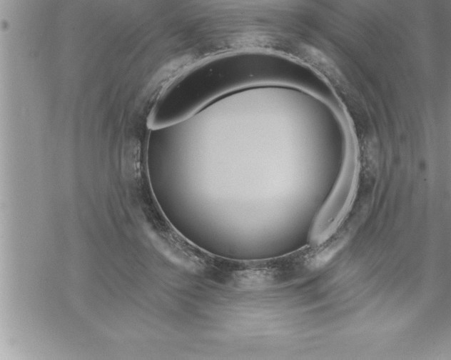 X0000069840356200606021407