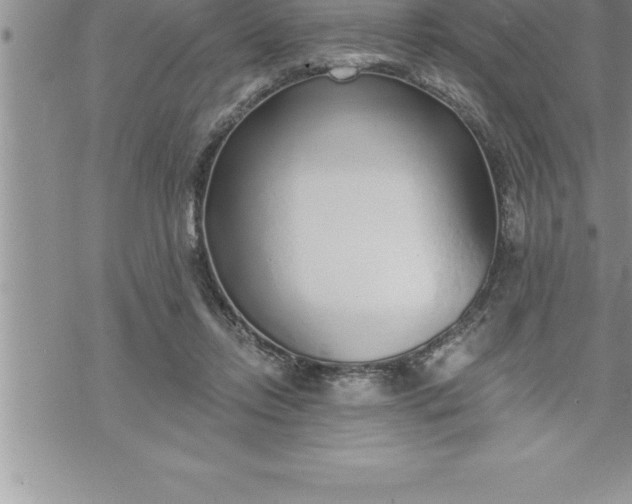 X0000069840358200606021407