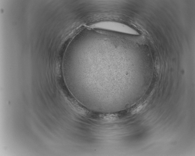 X0000069840359200606021407