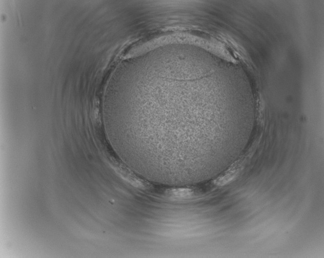 X0000069840361200606021407