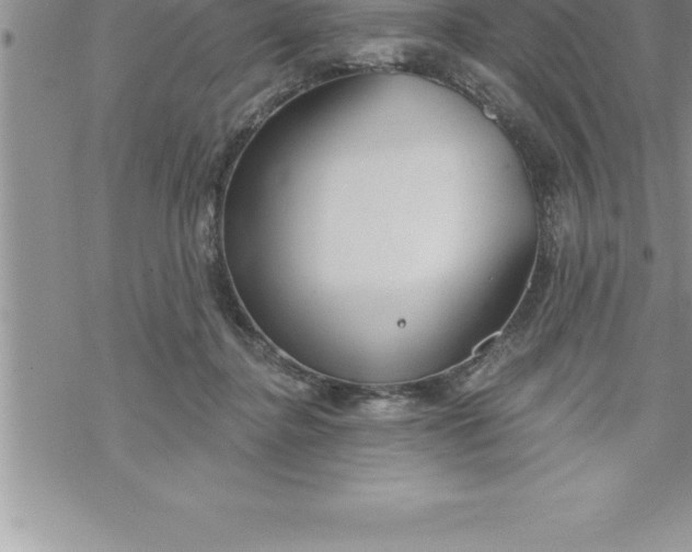 X0000069840364200606021407