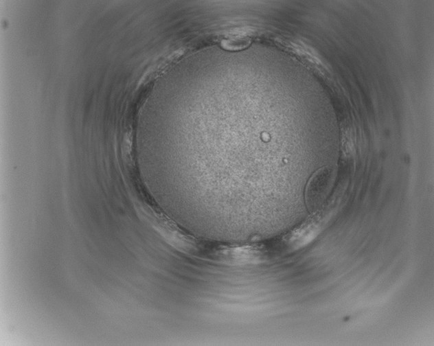 X0000069840365200606021407