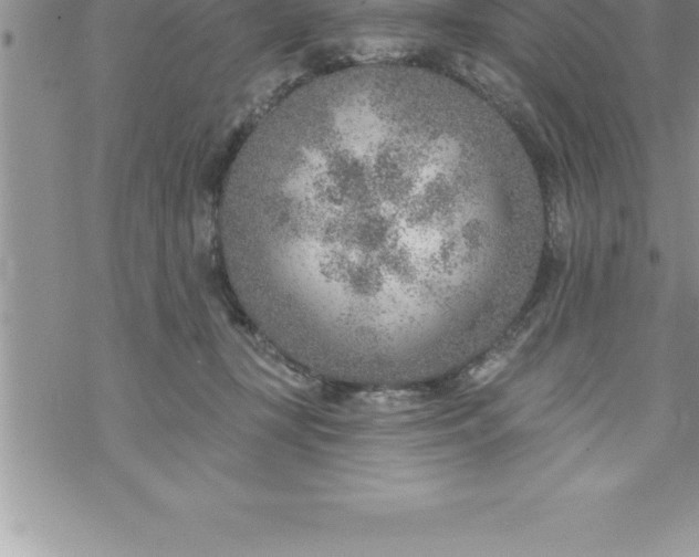 X0000069840367200606021407