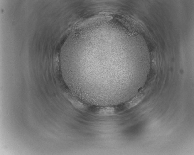 X0000069840369200606021407