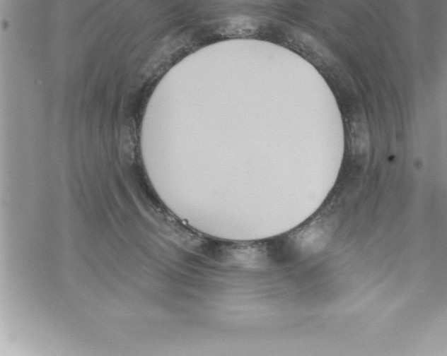 X0000069840370200606021407