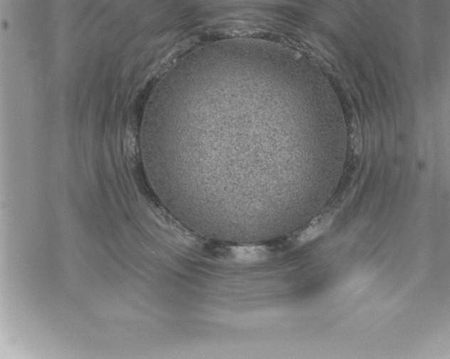 X0000069840371200606021407