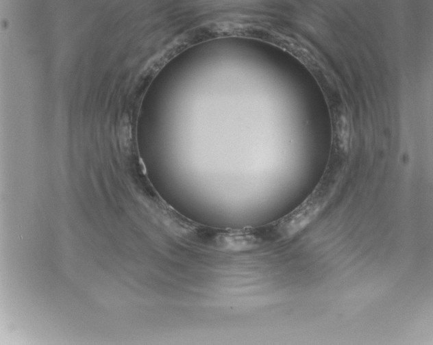 X0000069840372200606021407