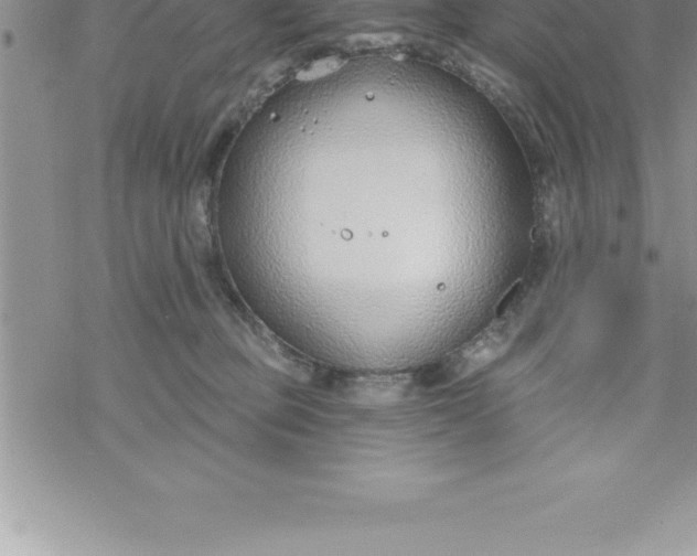 X0000069840373200606021407