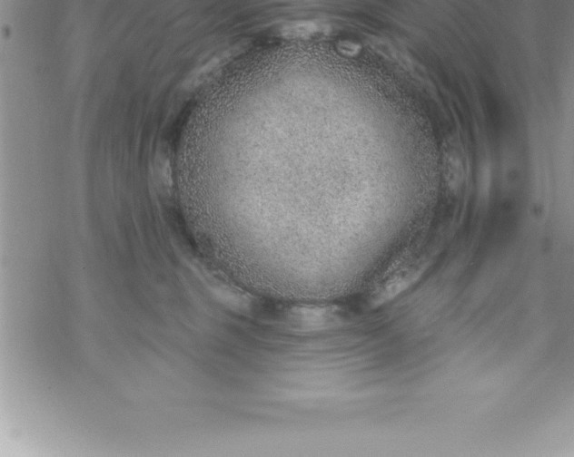 X0000069840375200606021407