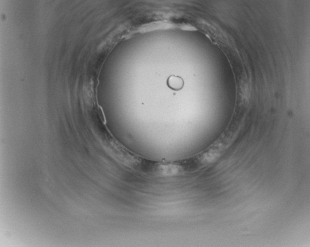 X0000069840376200606021407