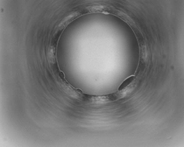 X0000069840378200606021407