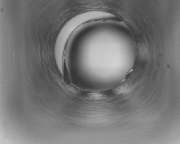 X0000069840380200606021407