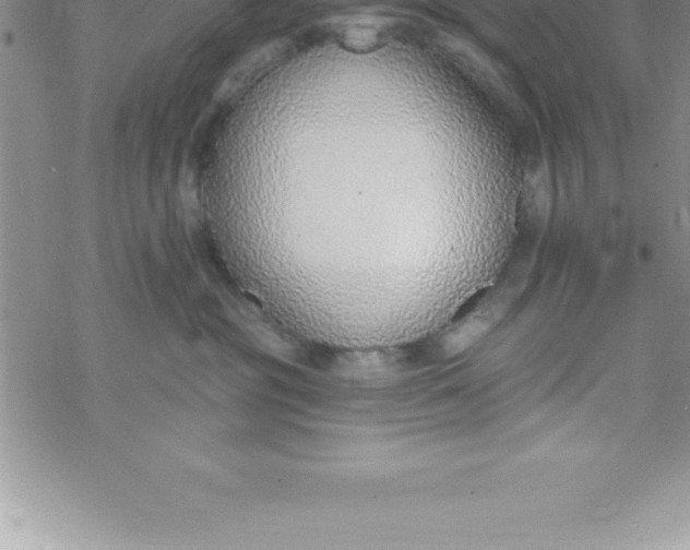 X0000069840381200606021407