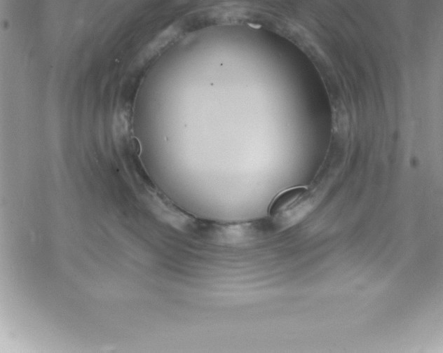 X0000069840382200606021407