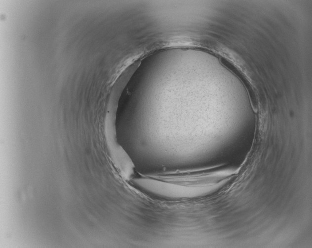 X0000069840385200606021407