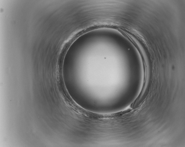 X0000069840388200606021407