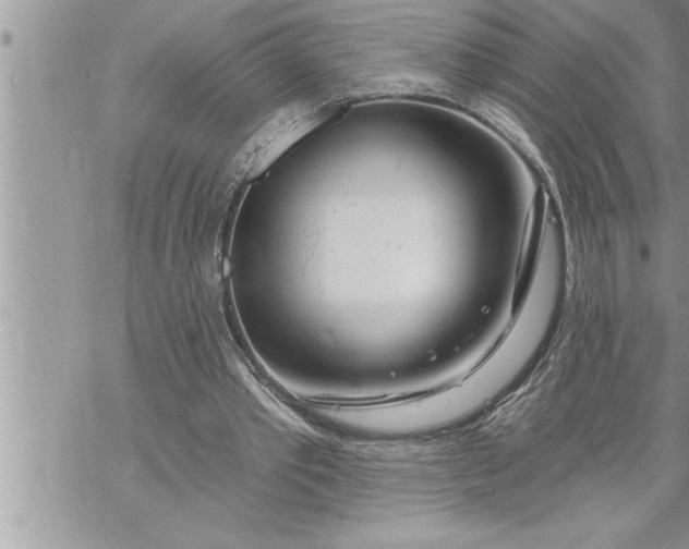 X0000069840389200606021407