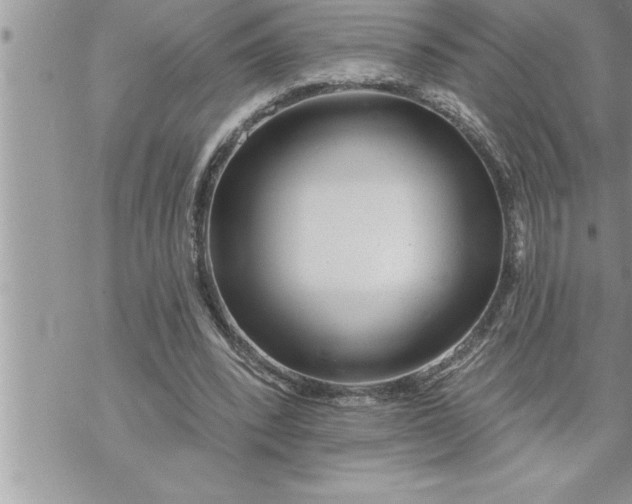 X0000069840392200606021407