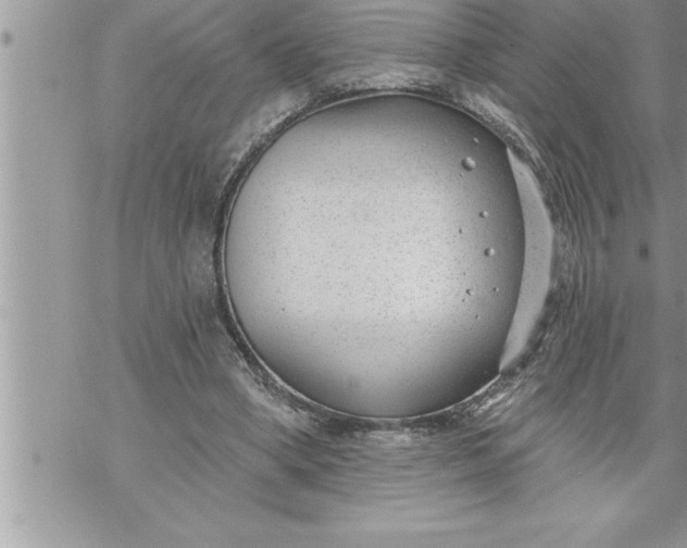 X0000069840394200606021407