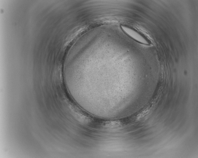 X0000069840398200606021407