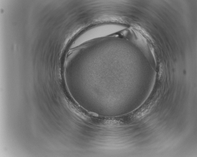 X0000069840399200606021407