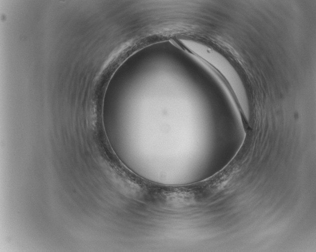 X0000069840400200606021407