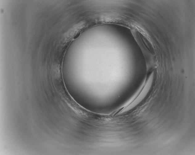 X0000069840401200606021406