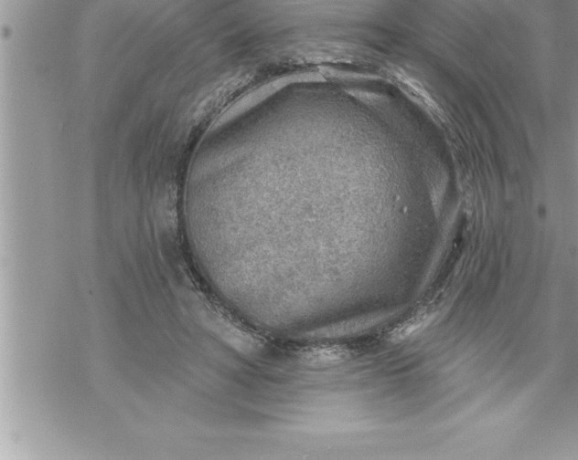 X0000069840402200606021406