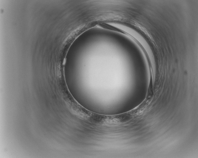 X0000069840403200606021406