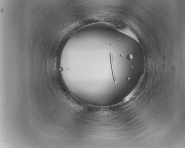 X0000069840404200606021406