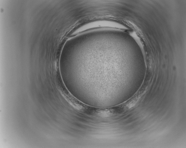 X0000069840405200606021406