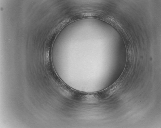 X0000069840406200606021406