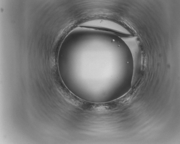 X0000069840407200606021406