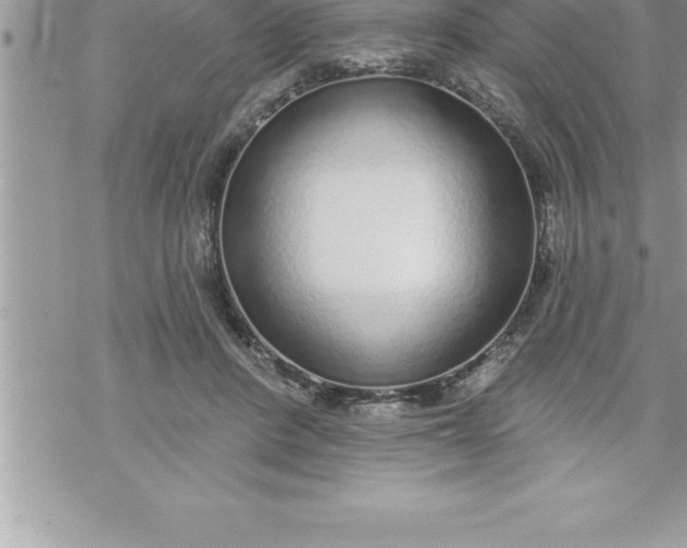 X0000069840408200606021406