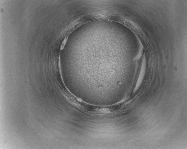 X0000069840409200606021406