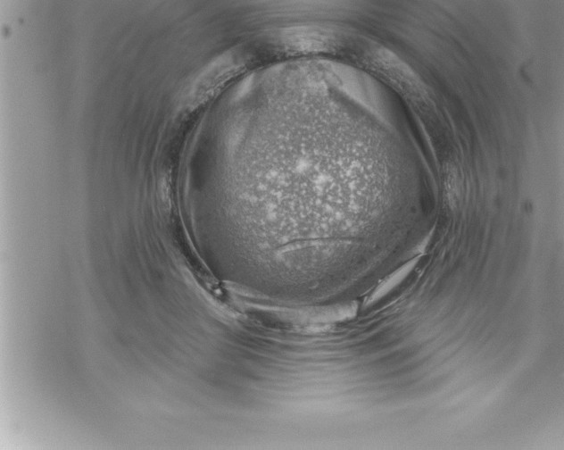 X0000069840410200606021406