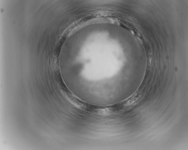 X0000069840411200606021406