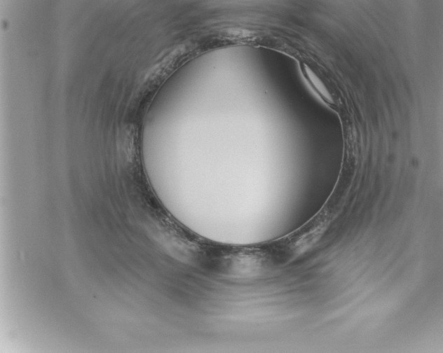 X0000069840412200606021406