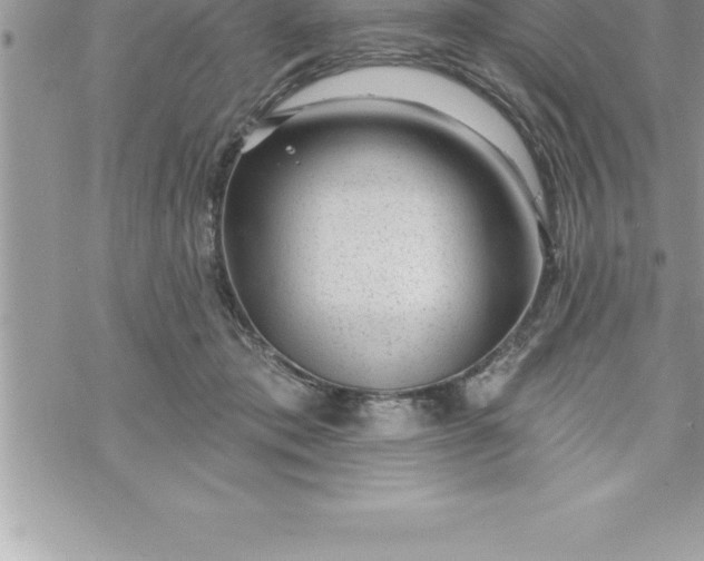 X0000069840413200606021406