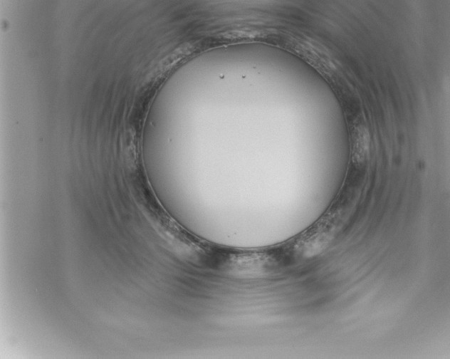 X0000069840414200606021406