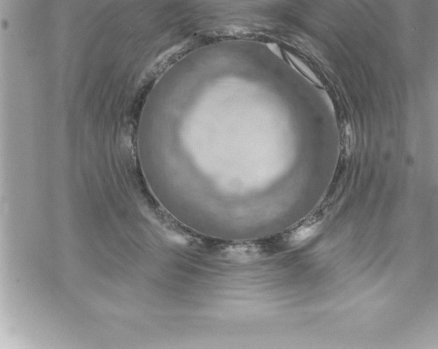 X0000069840415200606021406