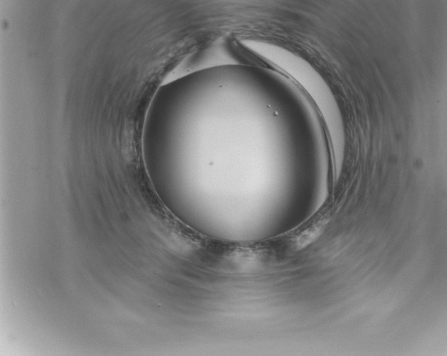 X0000069840416200606021406