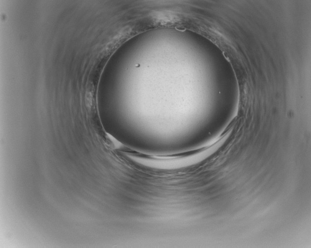 X0000069840417200606021406