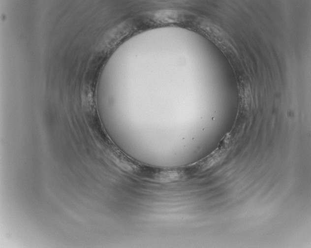 X0000069840418200606021406