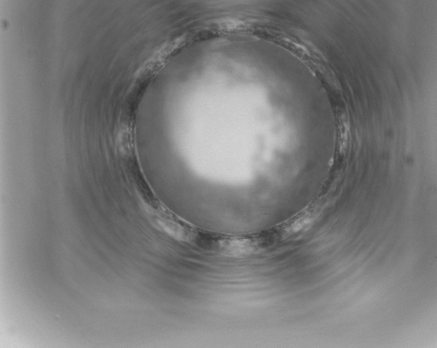 X0000069840419200606021406