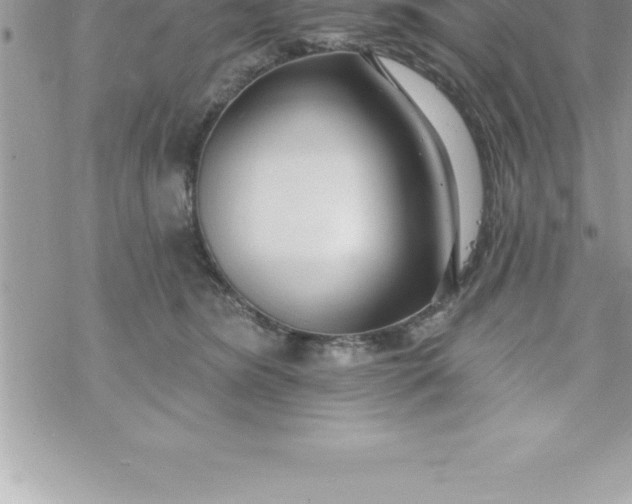 X0000069840420200606021406