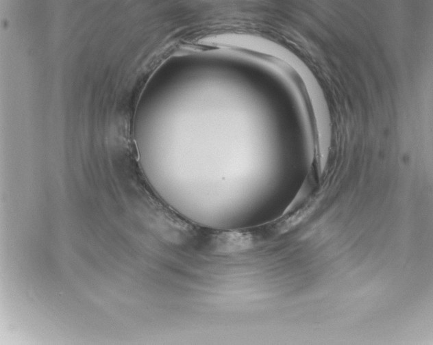 X0000069840421200606021406