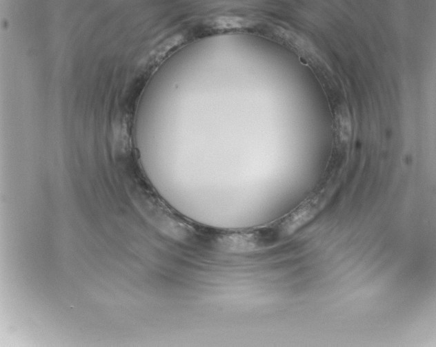 X0000069840422200606021406