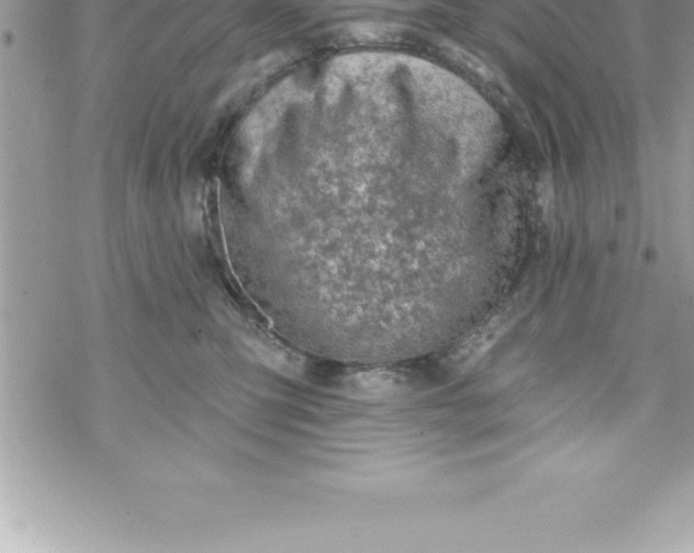 X0000069840423200606021406