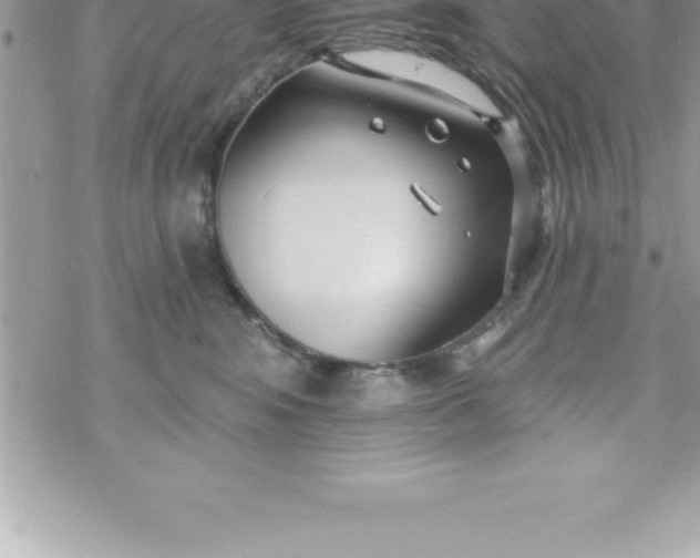 X0000069840424200606021406